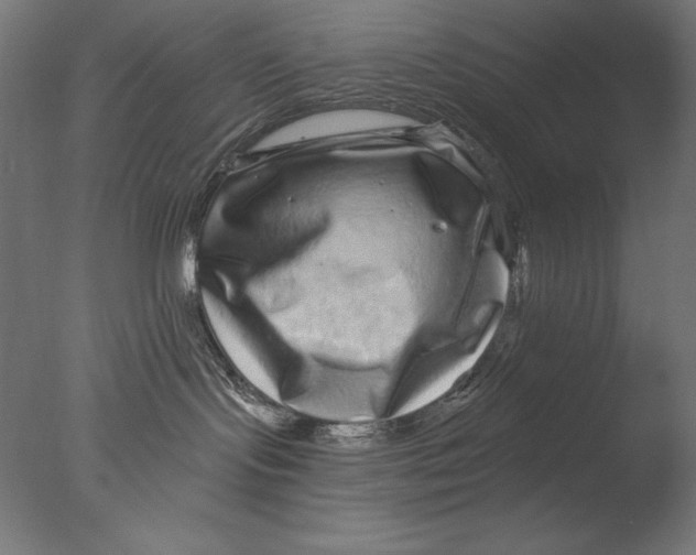 X0000076320095200610201650