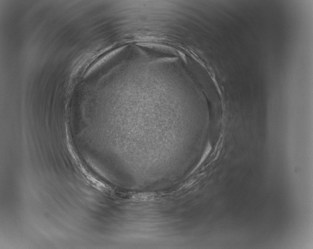 X0000076320097200610201649