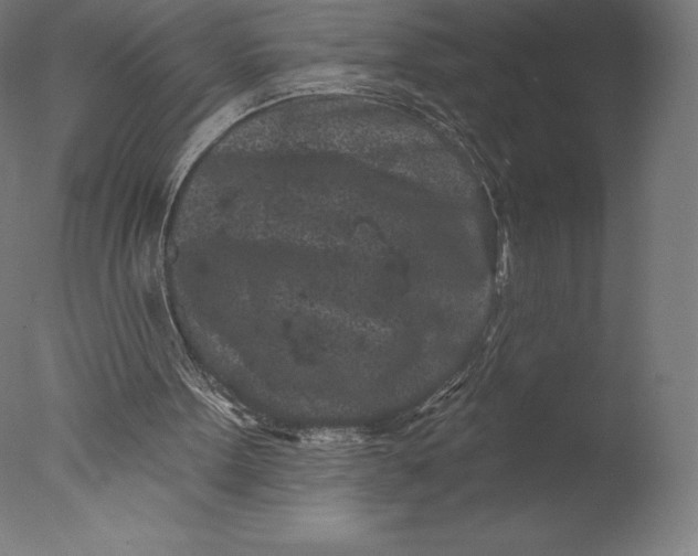 X0000076320099200610201649