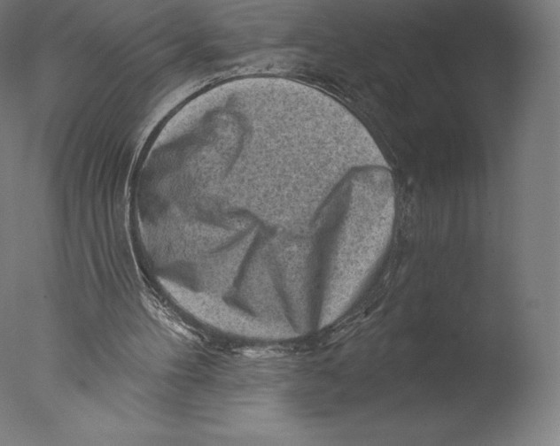 X0000076320100200610201649