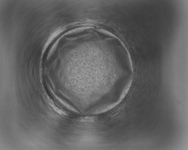 X0000076320102200610201649