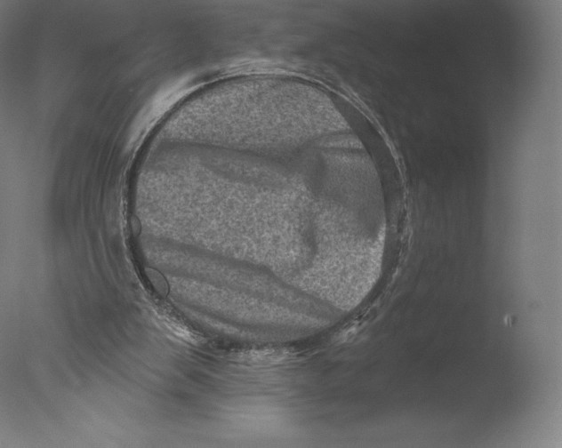 X0000076320103200610201649