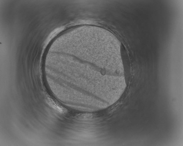 X0000076320104200610201649