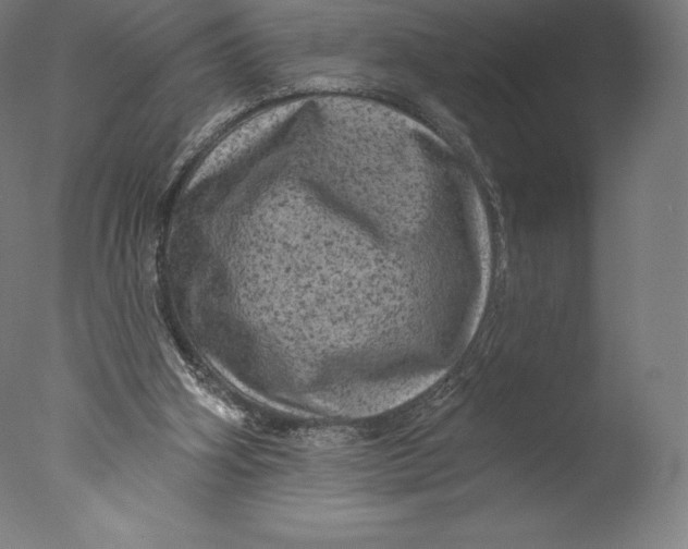 X0000076320106200610201649