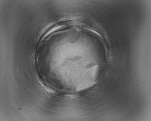 X0000076320107200610201649