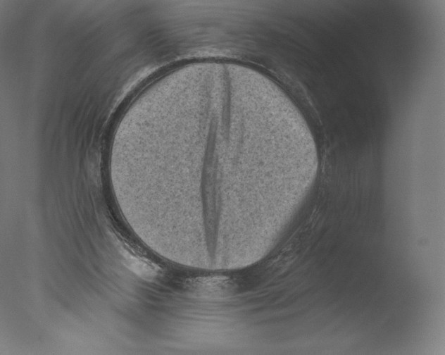 X0000076320108200610201649