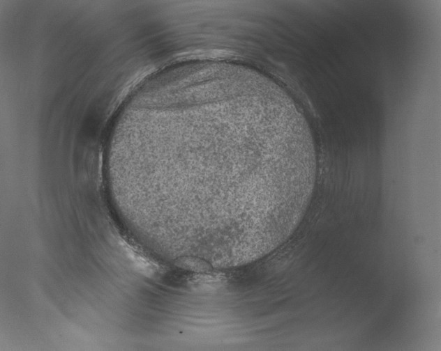 X0000076320110200610201649