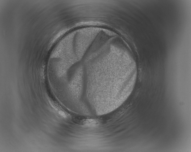 X0000076320111200610201649