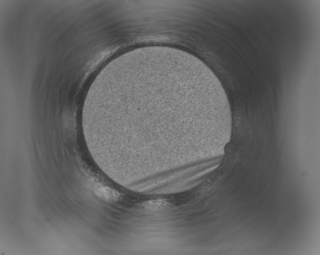 X0000076320112200610201649