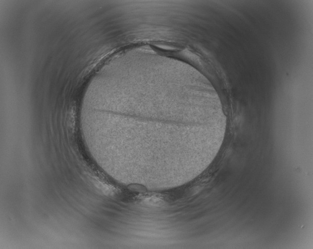 X0000076320113200610201649