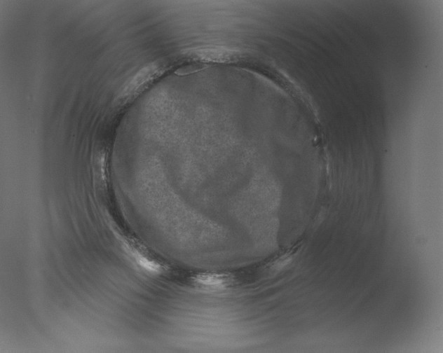 X0000076320117200610201649