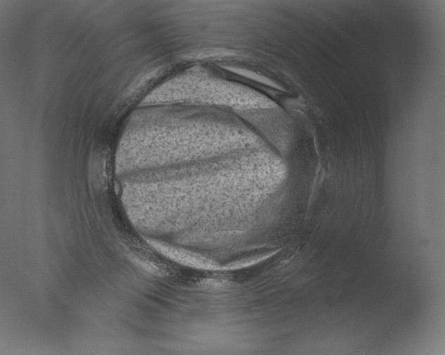 X0000076320119200610201649