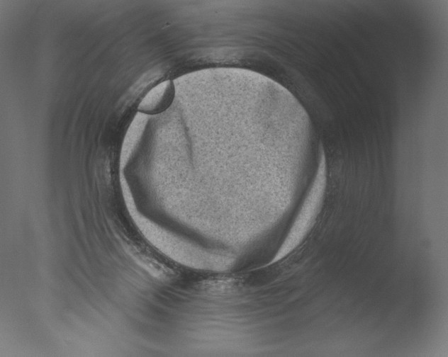 X0000076320120200610201649