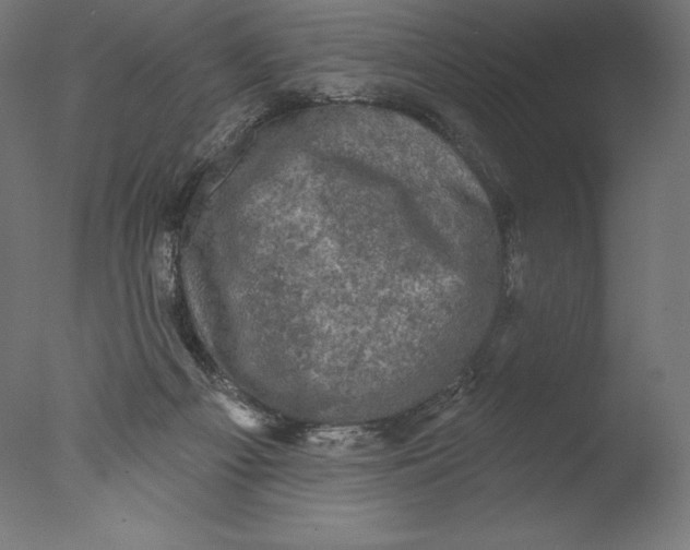 X0000076320121200610201649