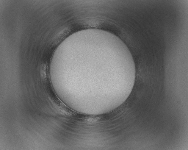 X0000076320122200610201649