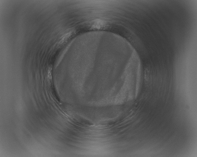 X0000076320127200610201649