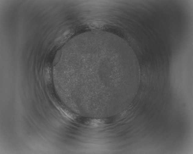 X0000076320130200610201648