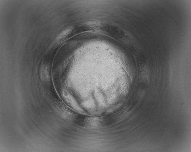 X0000076320131200610201648