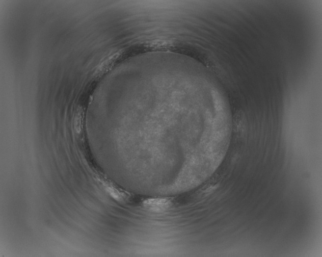 X0000076320133200610201648