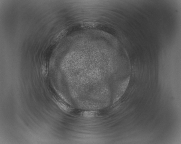 X0000076320134200610201648