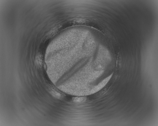 X0000076320135200610201648