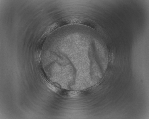 X0000076320142200610201648