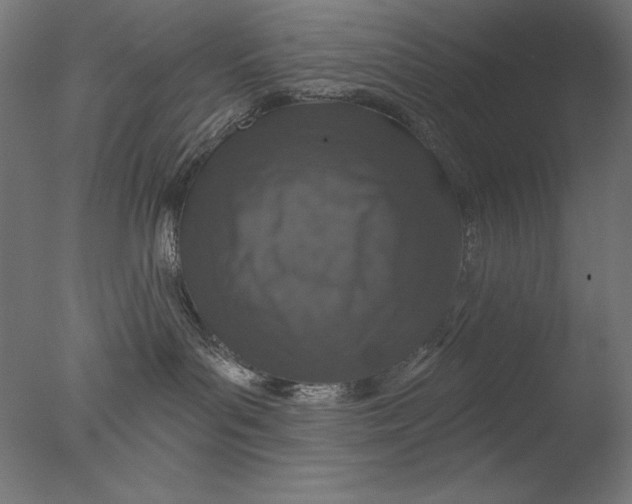 X0000076320143200610201648