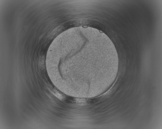 X0000076320144200610201648