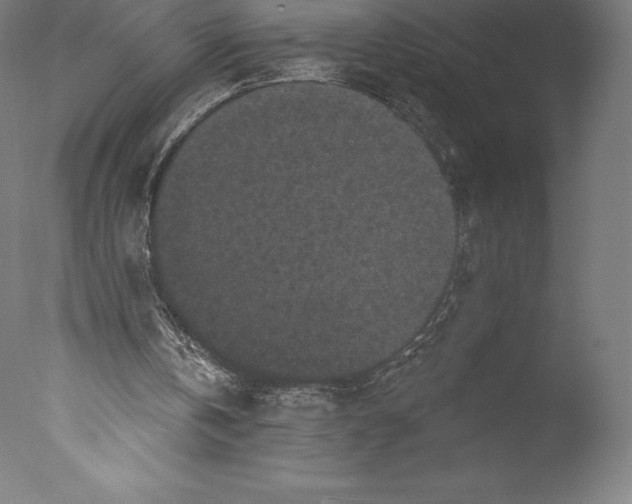 X0000076320146200610201647