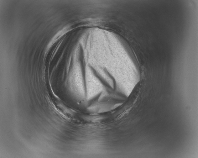 X0000076320150200610201648