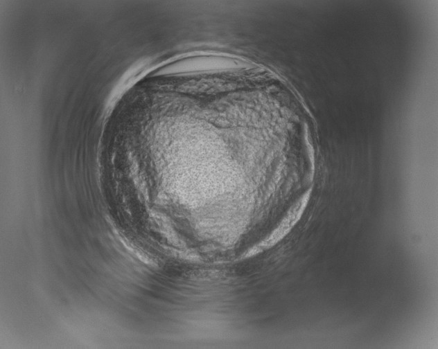 X0000076320151200610201648