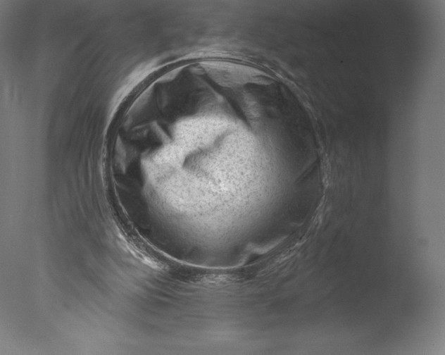 X0000076320152200610201648