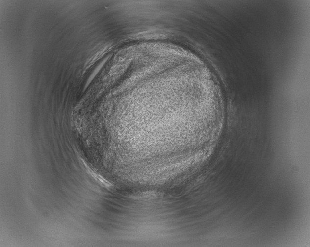 X0000076320153200610201648