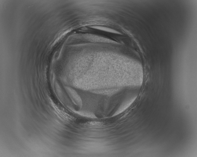 X0000076320154200610201648