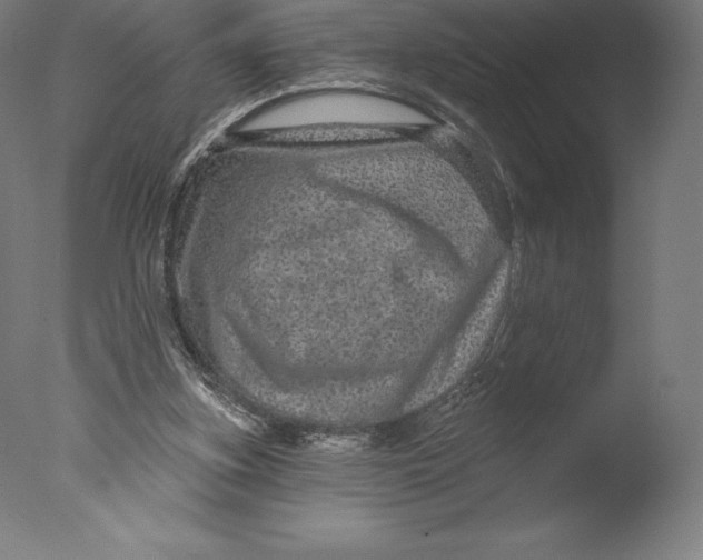 X0000076320155200610201648