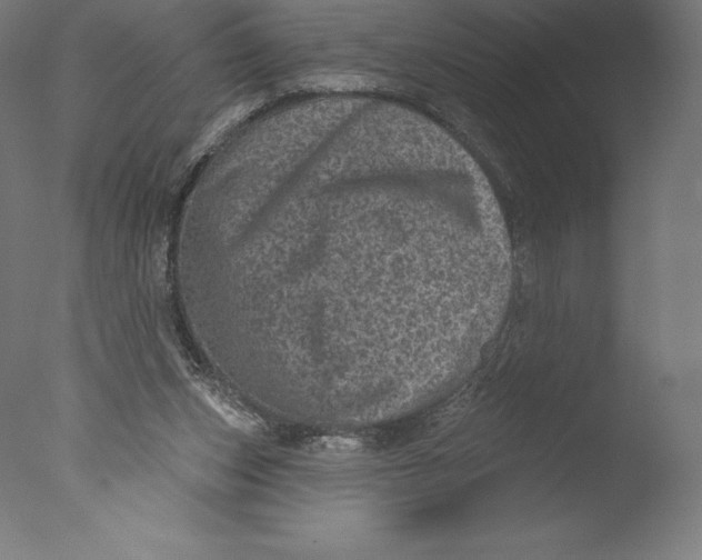 X0000076320159200610201648