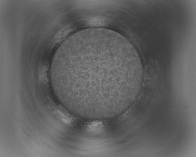 X0000076320162200610201648