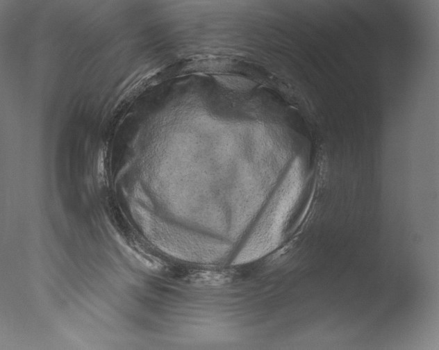 X0000076320166200610201648