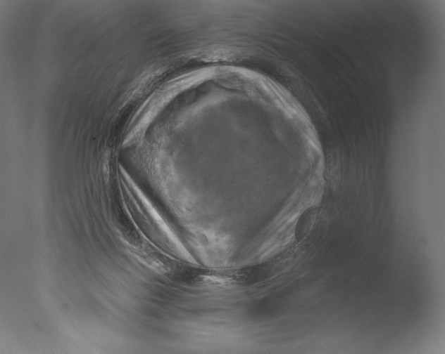 X0000076320167200610201648