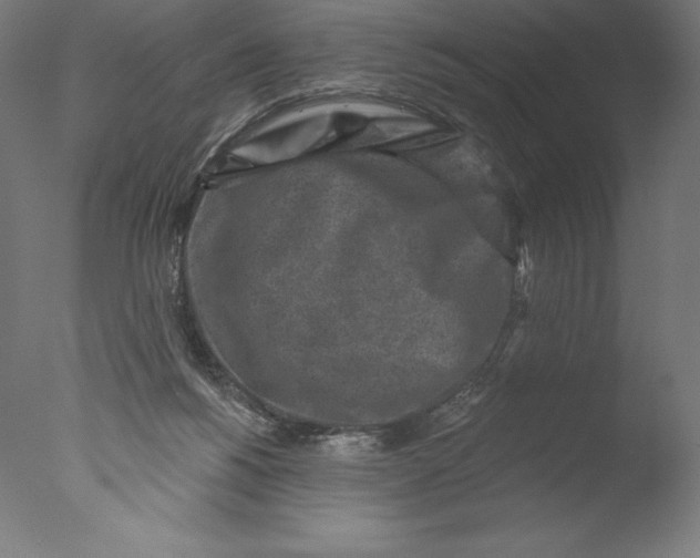 X0000076320168200610201648