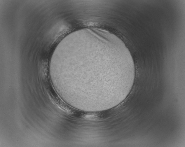 X0000076320171200610201648