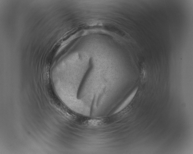 X0000076320172200610201648