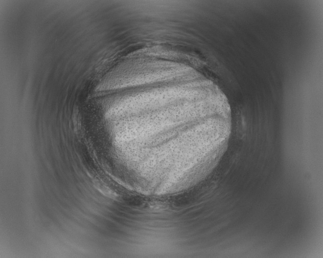 X0000076320173200610201648