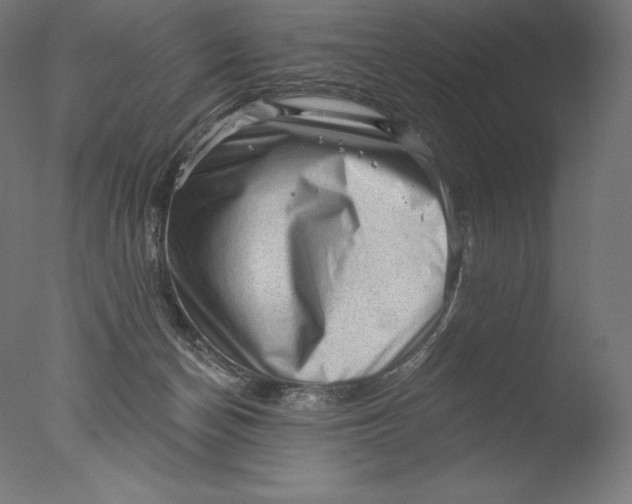 X0000076320174200610201648