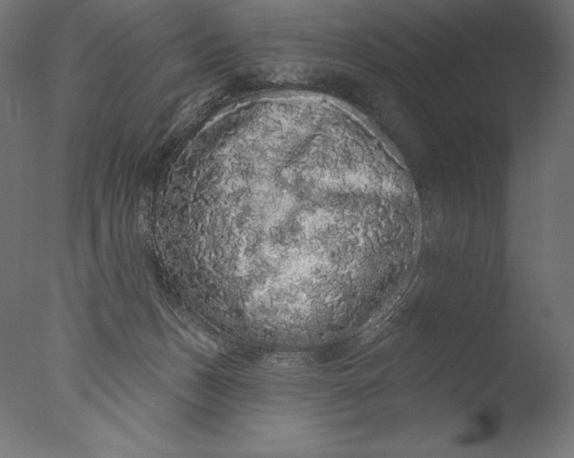 X0000076320175200610201648