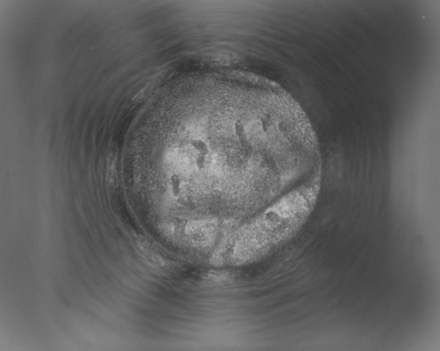 X0000076320177200610201648