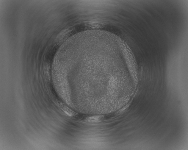 X0000076320178200610201648