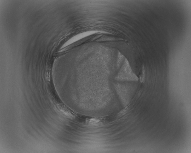 X0000076320180200610201648