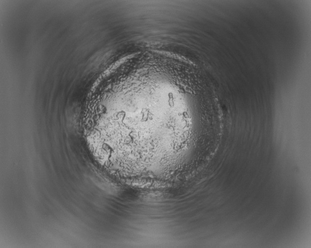 X0000076320181200610201648