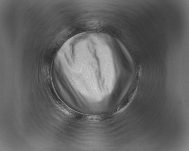 X0000076320182200610201648